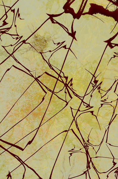 Image #3 of 12: 